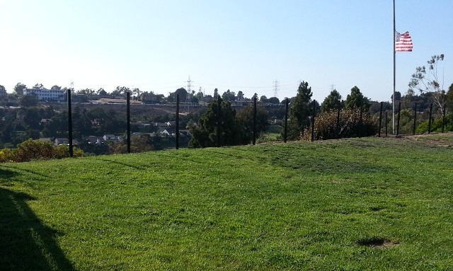 Backyard Fence with a View